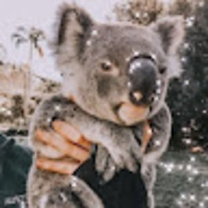 Meet your Posher, Maya